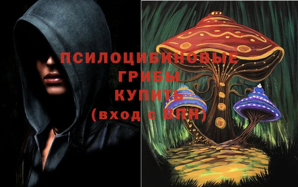 винт Дмитров